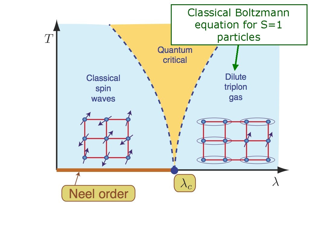 Classical Boltzmann equation for S=1 particles 
