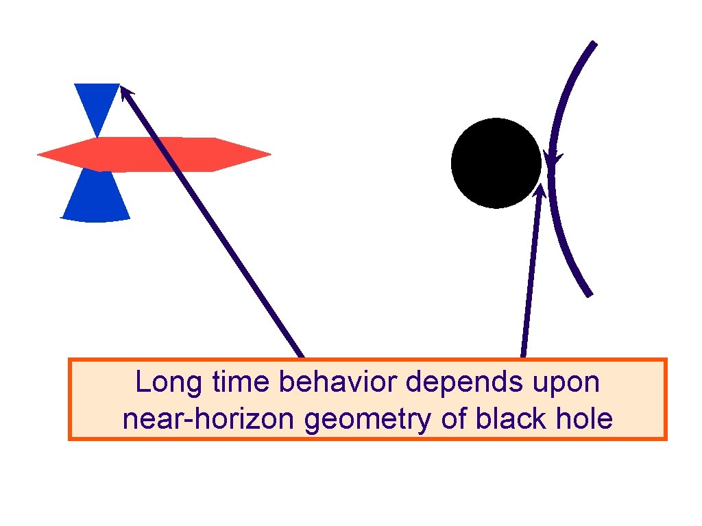 Long time behavior depends upon near-horizon geometry of black hole 