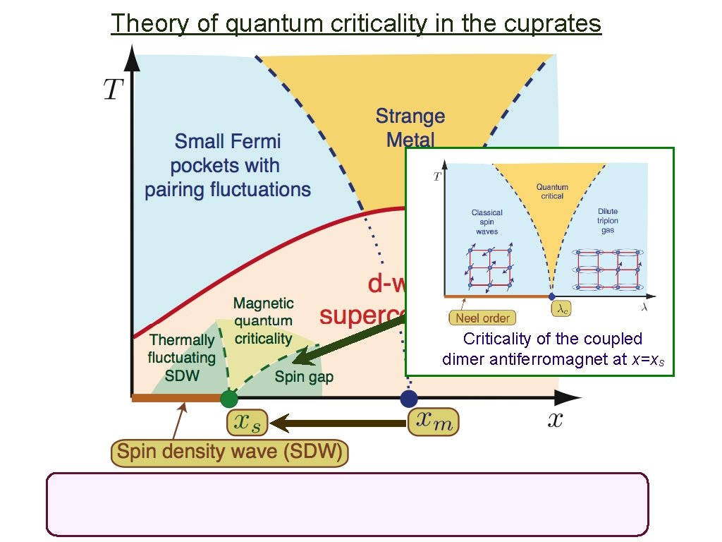 Theory of quantum criticality in the cuprates Criticality of the coupled dimer antiferromagnet at