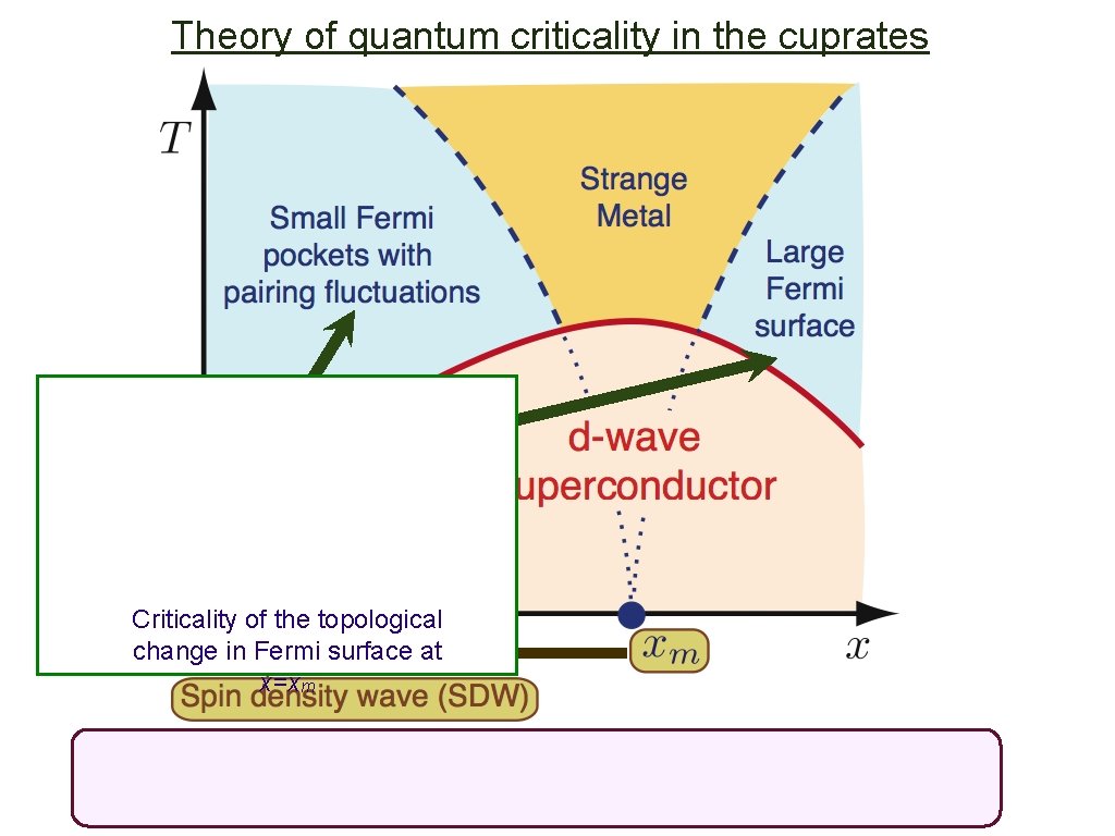 Theory of quantum criticality in the cuprates Criticality of the topological change in Fermi