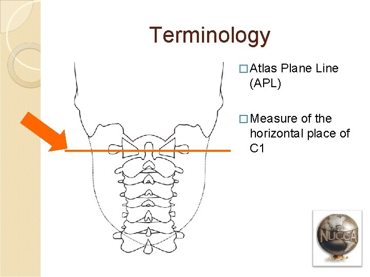 Terminology � Atlas Plane Line (APL) � Measure of the horizontal place of C