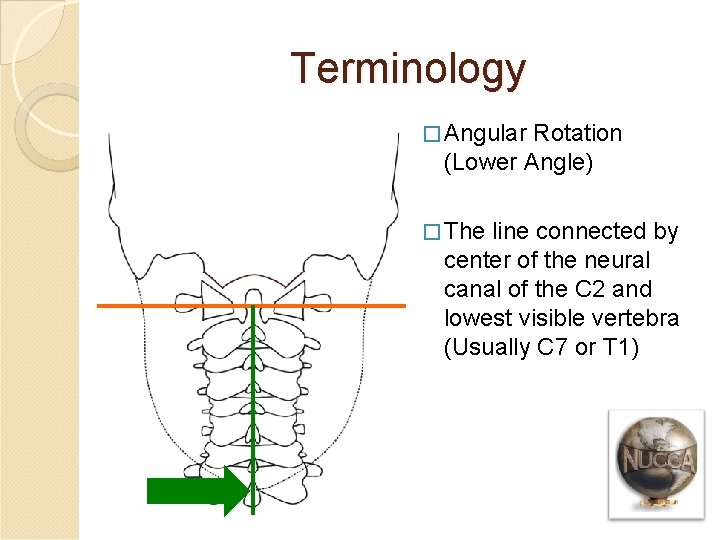 Terminology � Angular Rotation (Lower Angle) � The line connected by center of the