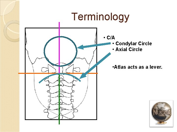 Terminology • C/A • Condylar Circle • Axial Circle • Atlas acts as a