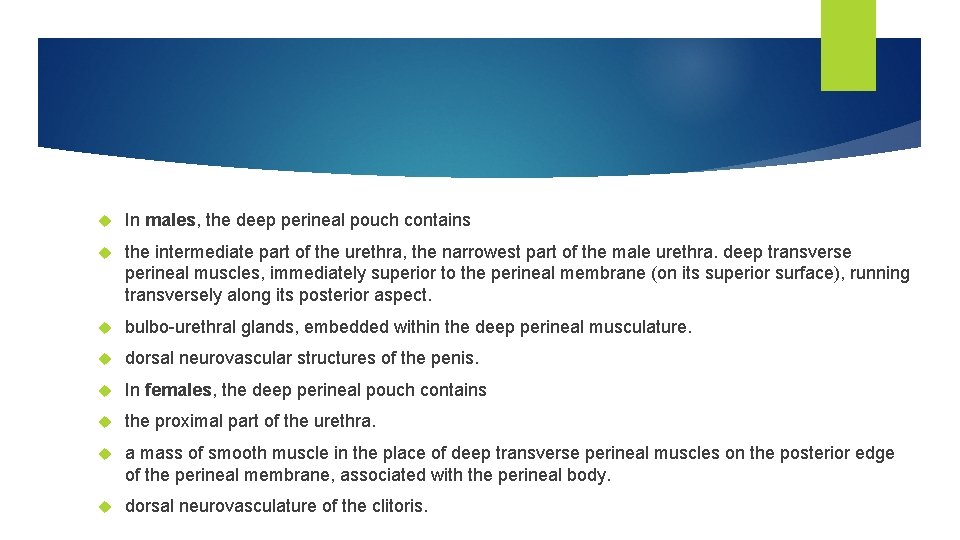  In males, the deep perineal pouch contains the intermediate part of the urethra,