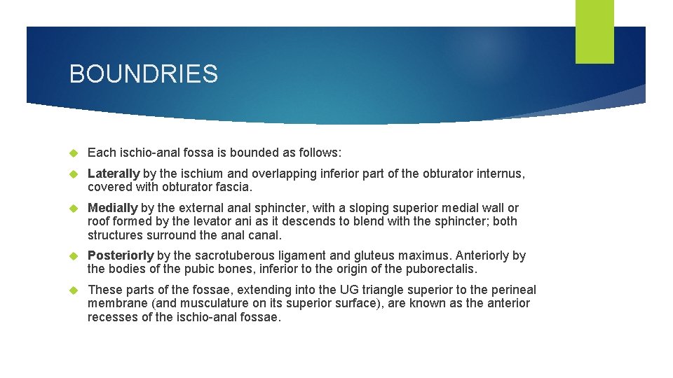 BOUNDRIES Each ischio-anal fossa is bounded as follows: Laterally by the ischium and overlapping