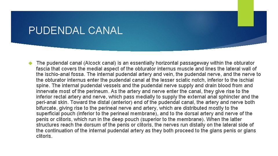 PUDENDAL CANAL The pudendal canal (Alcock canal) is an essentially horizontal passageway within the