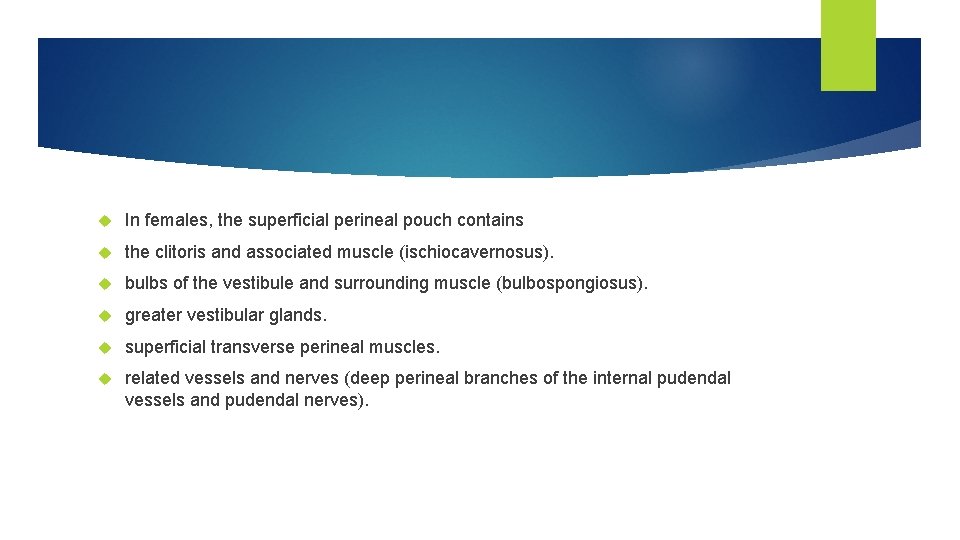  In females, the superficial perineal pouch contains the clitoris and associated muscle (ischiocavernosus).