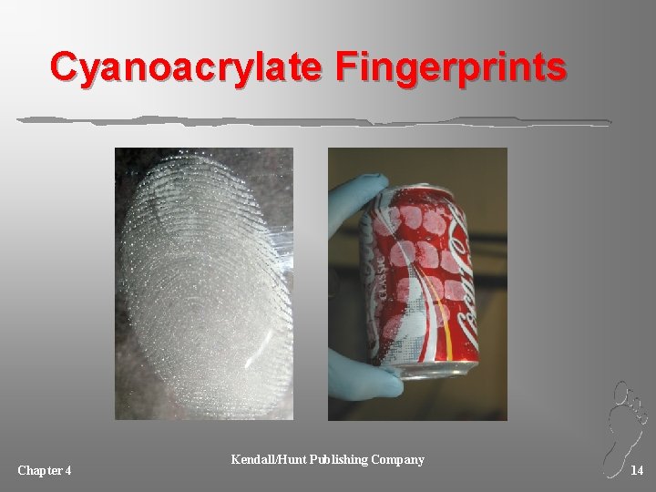 Cyanoacrylate Fingerprints Chapter 4 Kendall/Hunt Publishing Company 14 