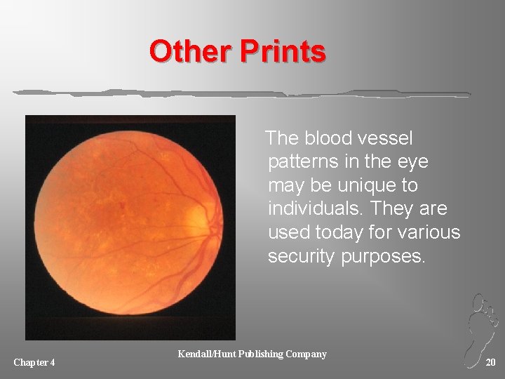 Other Prints The blood vessel patterns in the eye may be unique to individuals.