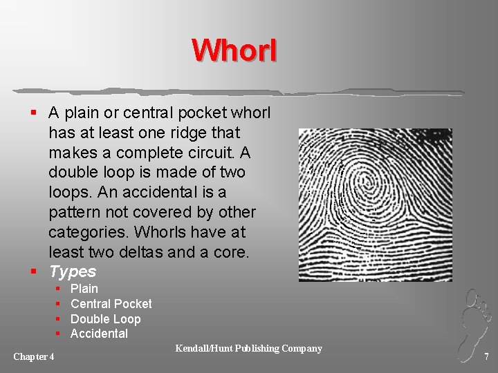 Whorl § A plain or central pocket whorl has at least one ridge that