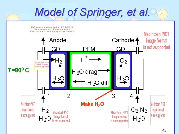 Model of Springer, et al. Anode GDL PEM + H H 2 T=800 C