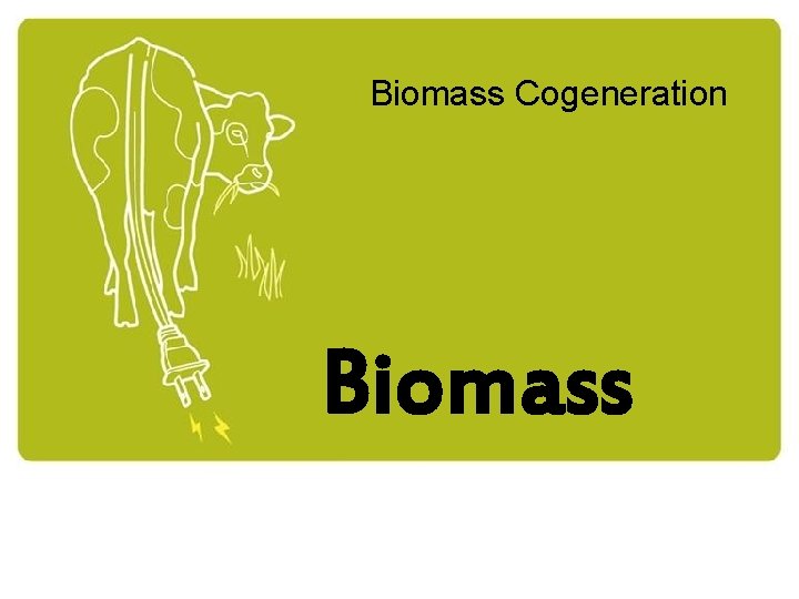 Biomass Cogeneration Biomass 