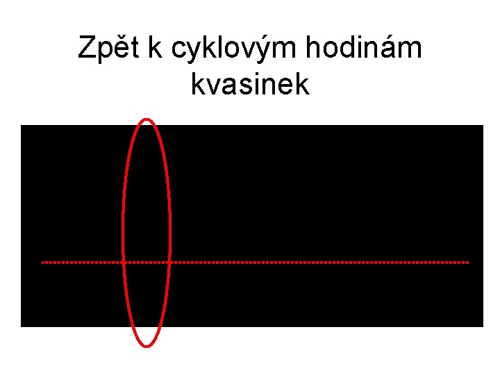 Zpět k cyklovým hodinám kvasinek 