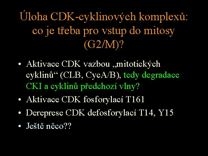 Úloha CDK-cyklinových komplexů: co je třeba pro vstup do mitosy (G 2/M)? • Aktivace