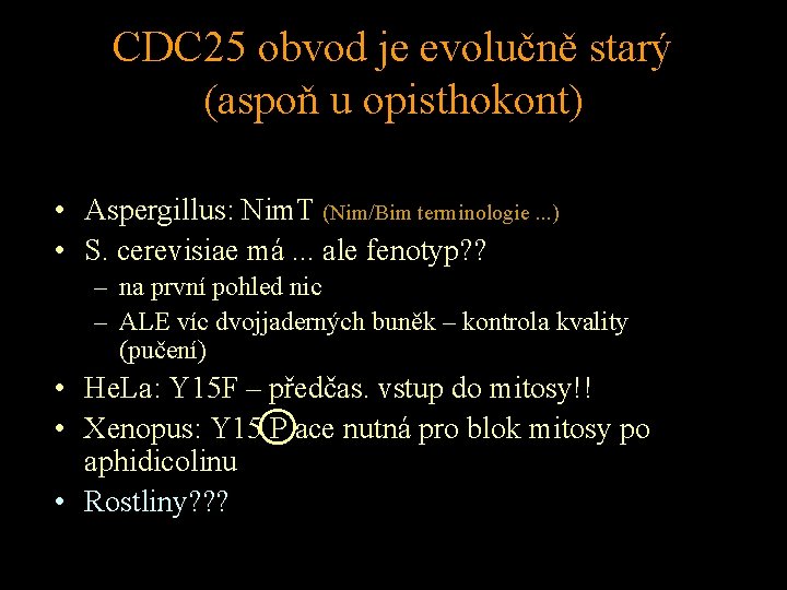 CDC 25 obvod je evolučně starý (aspoň u opisthokont) • Aspergillus: Nim. T (Nim/Bim