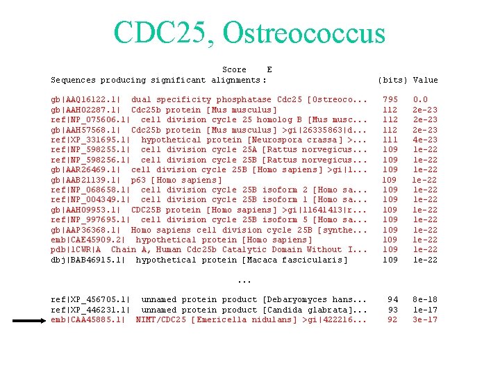 CDC 25, Ostreococcus Score E Sequences producing significant alignments : gb|AAQ 16122. 1| dual