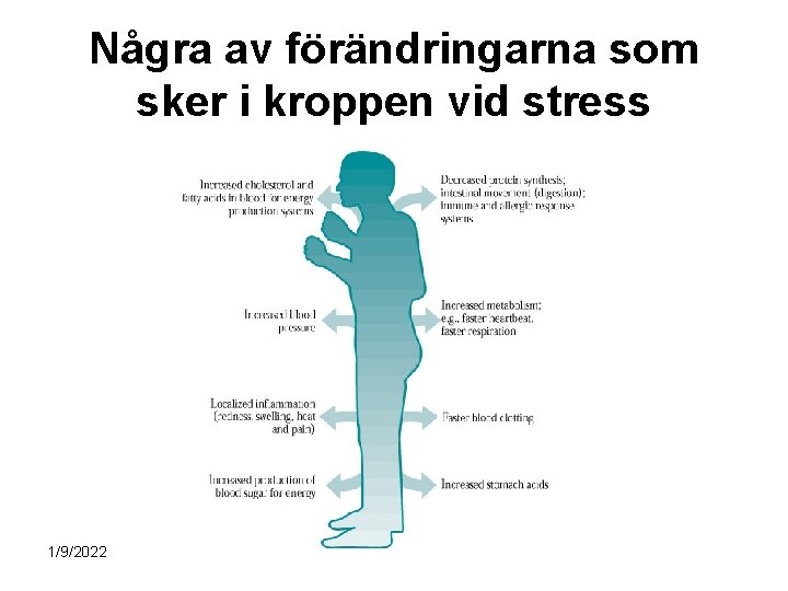 Några av förändringarna som sker i kroppen vid stress 1/9/2022 