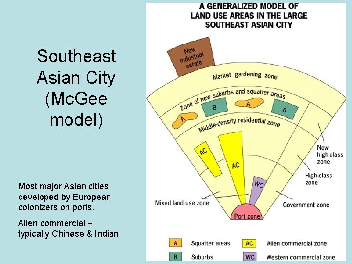 Southeast Asian City (Mc. Gee model) Most major Asian cities developed by European colonizers