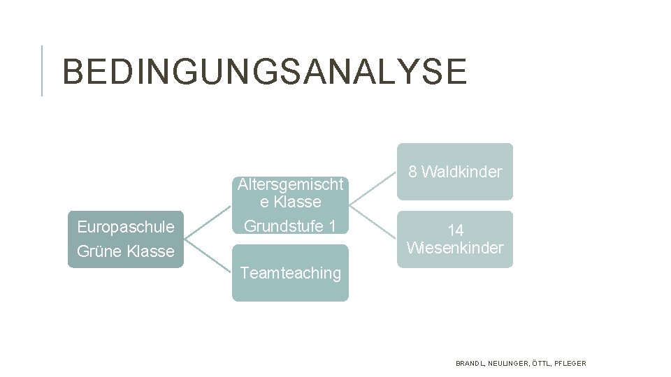 BEDINGUNGSANALYSE Altersgemischt e Klasse Europaschule Grundstufe 1 Grüne Klasse 8 Waldkinder 14 Wiesenkinder Teamteaching