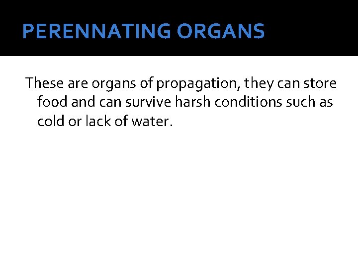 PERENNATING ORGANS These are organs of propagation, they can store food and can survive