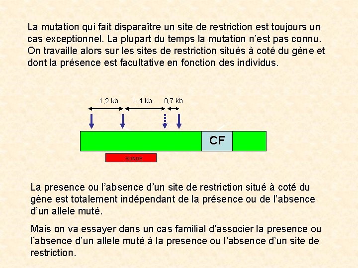 La mutation qui fait disparaître un site de restriction est toujours un cas exceptionnel.