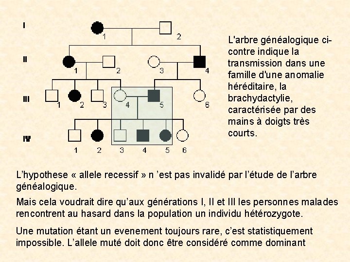 L'arbre généalogique cicontre indique la transmission dans une famille d'une anomalie héréditaire, la brachydactylie,