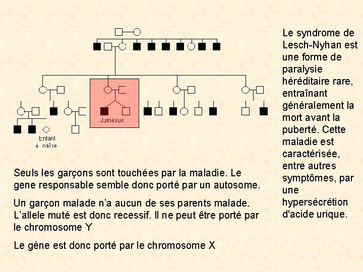 Seuls les garçons sont touchées par la maladie. Le gene responsable semble donc porté