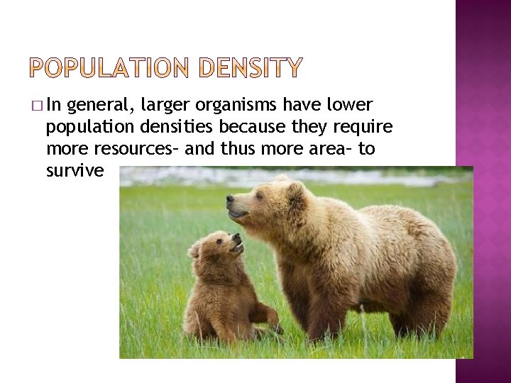 � In general, larger organisms have lower population densities because they require more resources–