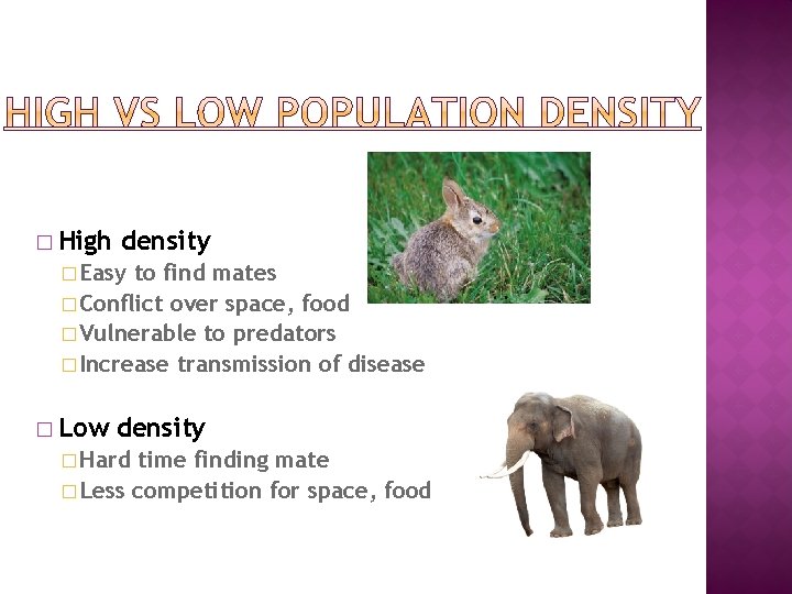 � High density � Easy to find mates � Conflict over space, food �