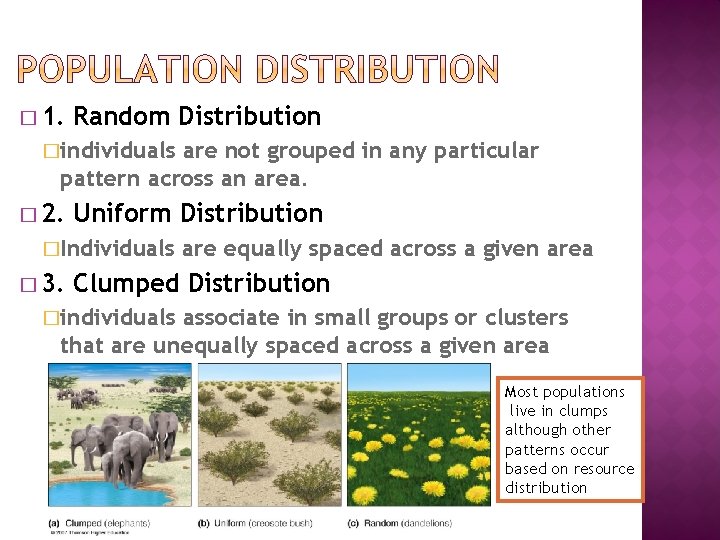 � 1. Random Distribution �individuals are not grouped in any particular pattern across an