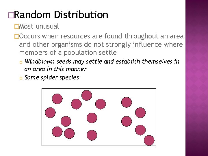 �Random Distribution �Most unusual �Occurs when resources are found throughout an area and other