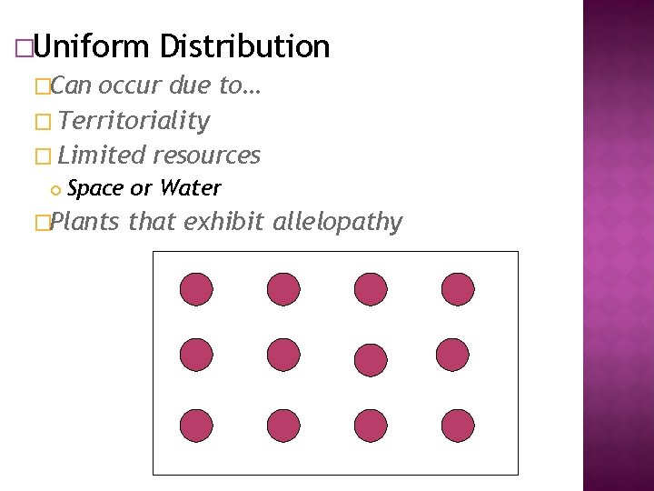 �Uniform Distribution �Can occur due to… � Territoriality � Limited resources Space or Water