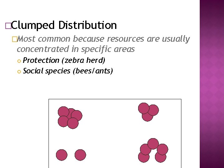 �Clumped Distribution �Most common because resources are usually concentrated in specific areas Protection (zebra