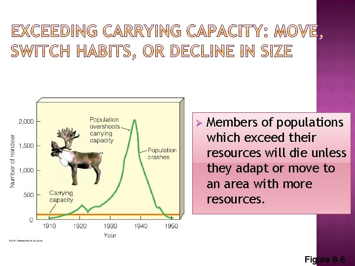 Ø Members of populations which exceed their resources will die unless they adapt or