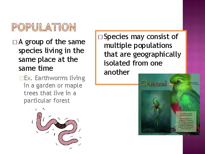 �A group of the same species living in the same place at the same