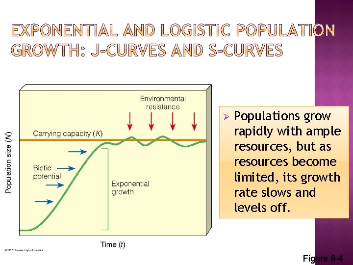 Ø Populations grow rapidly with ample resources, but as resources become limited, its growth