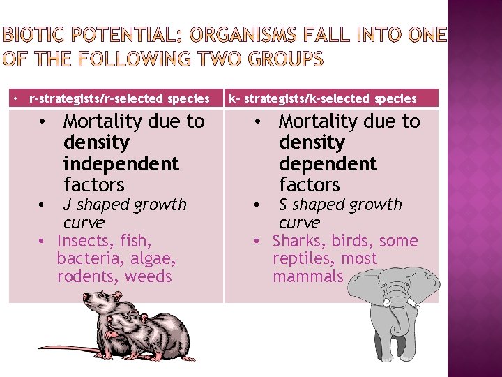  • r-strategists/r-selected species • Mortality due to density independent factors J shaped growth