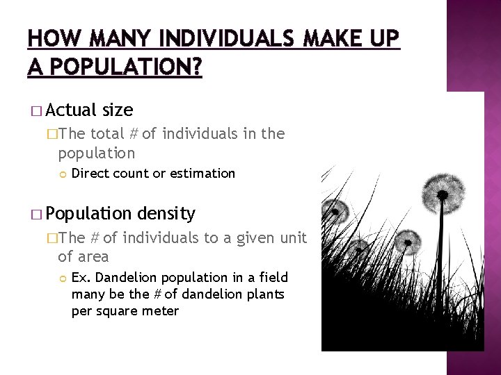 HOW MANY INDIVIDUALS MAKE UP A POPULATION? � Actual size �The total # of