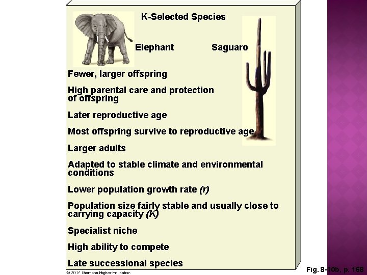 K-Selected Species Elephant Saguaro Fewer, larger offspring High parental care and protection of offspring