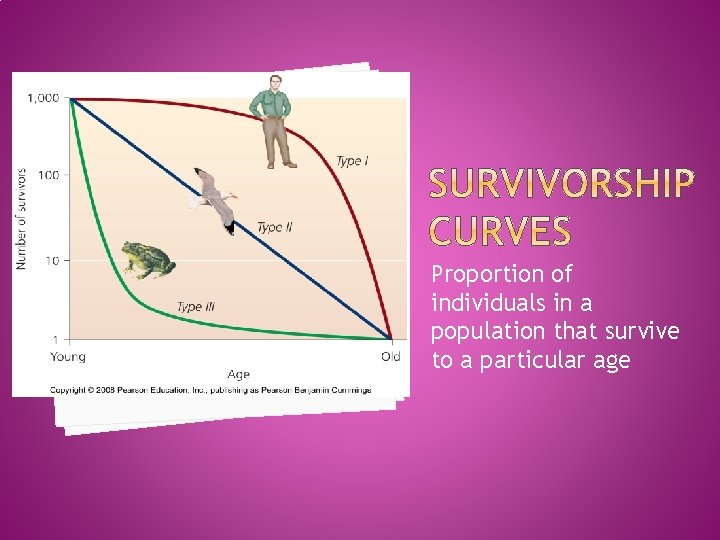 Proportion of individuals in a population that survive to a particular age 