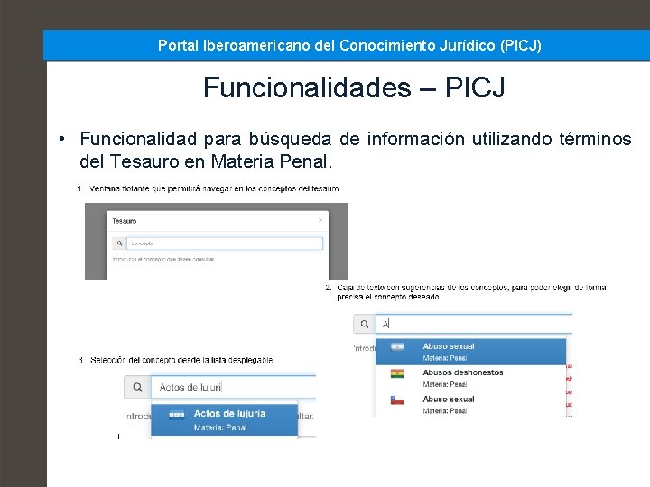 Portal Iberoamericano del Conocimiento Jurídico (PICJ) Funcionalidades – PICJ • Funcionalidad para búsqueda de