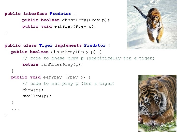 public interface Predator { public boolean chase. Prey(Prey p); public void eat. Prey(Prey p);