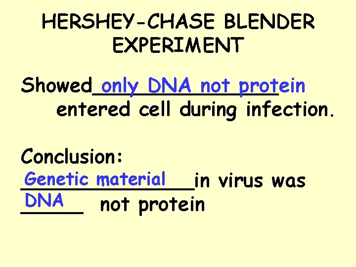 HERSHEY-CHASE BLENDER EXPERIMENT only DNA not protein Showed________ entered cell during infection. Conclusion: Genetic