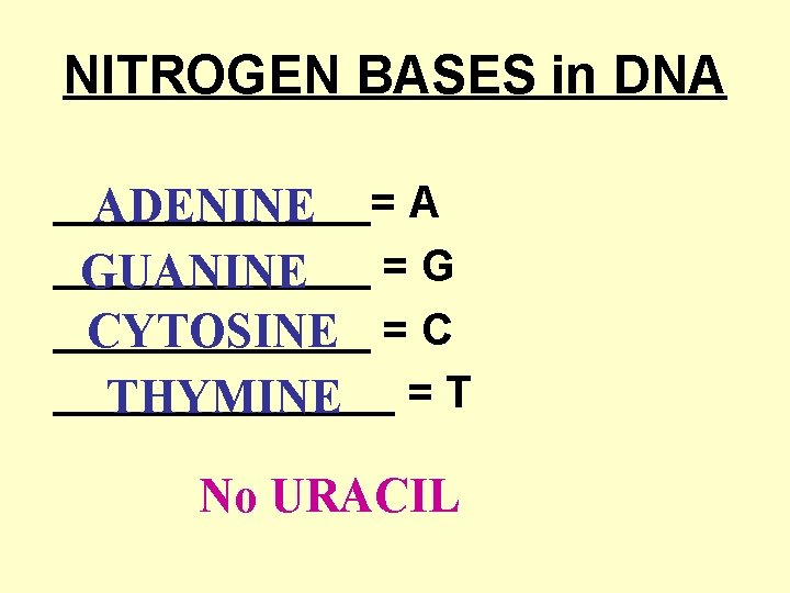 NITROGEN BASES in DNA _______= A ADENINE _______ =G GUANINE _______ CYTOSINE = C
