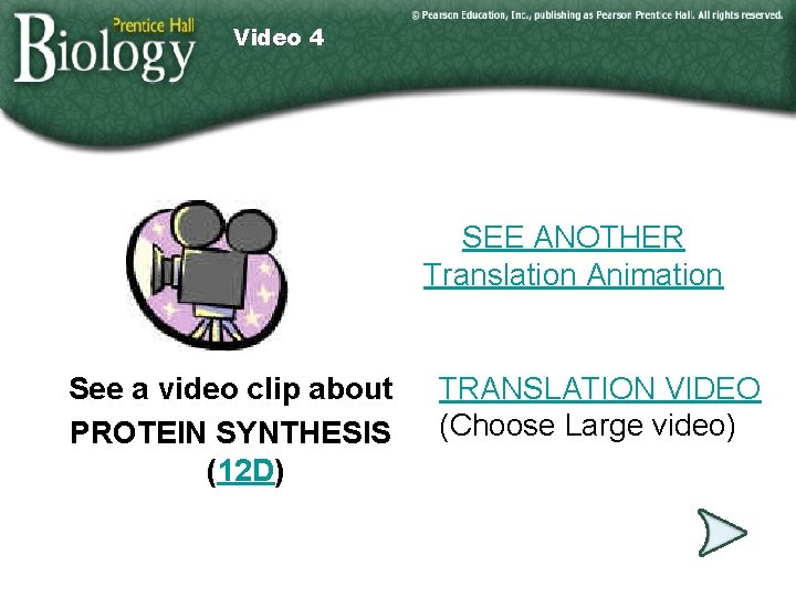 Video 4 SEE ANOTHER Translation Animation See a video clip about PROTEIN SYNTHESIS (12