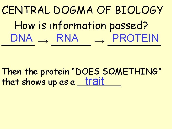 CENTRAL DOGMA OF BIOLOGY How is information passed? DNA → ______ RNA PROTEIN _____