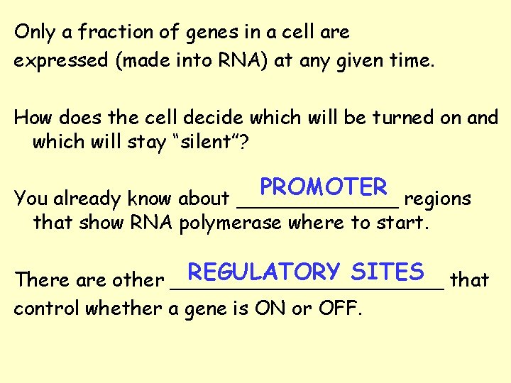 Only a fraction of genes in a cell are expressed (made into RNA) at