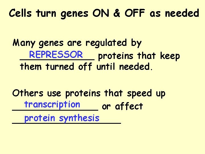 Cells turn genes ON & OFF as needed Many genes are regulated by REPRESSOR