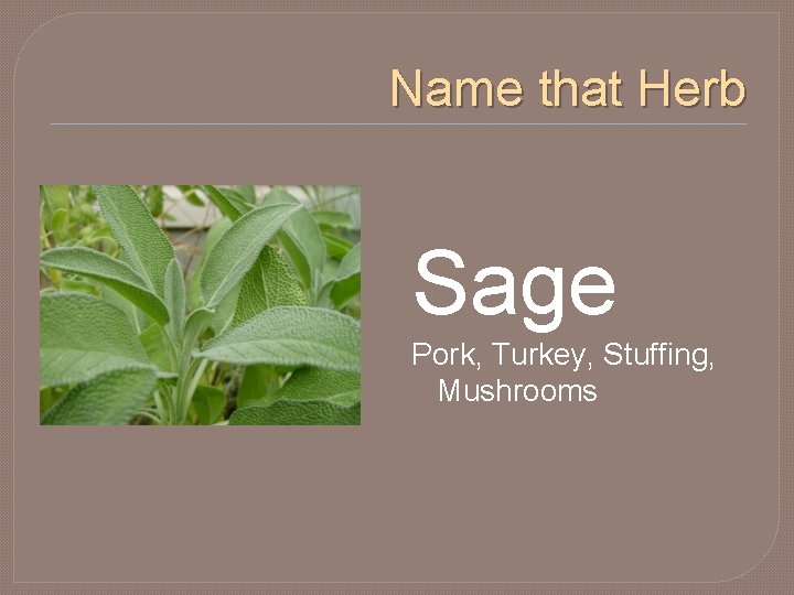Name that Herb Sage Pork, Turkey, Stuffing, Mushrooms 