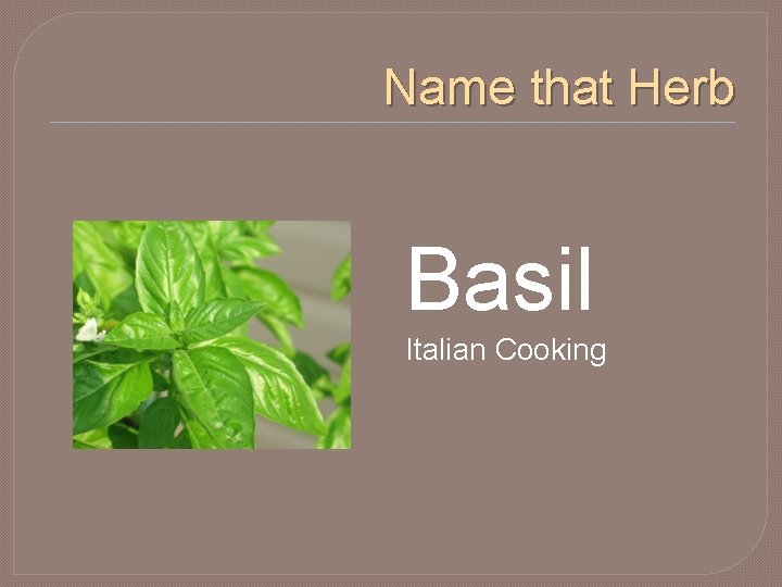 Name that Herb Basil Italian Cooking 